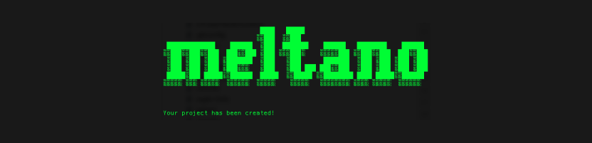 The Meltano splashscreen in terminal during install